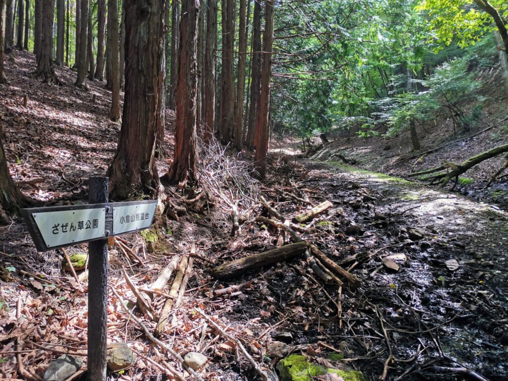 小倉山展望台