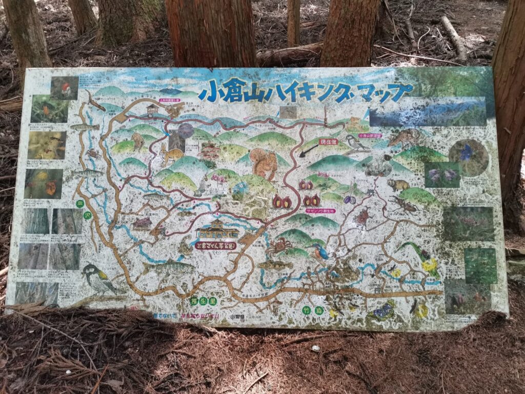 小倉山ハイキングマップ