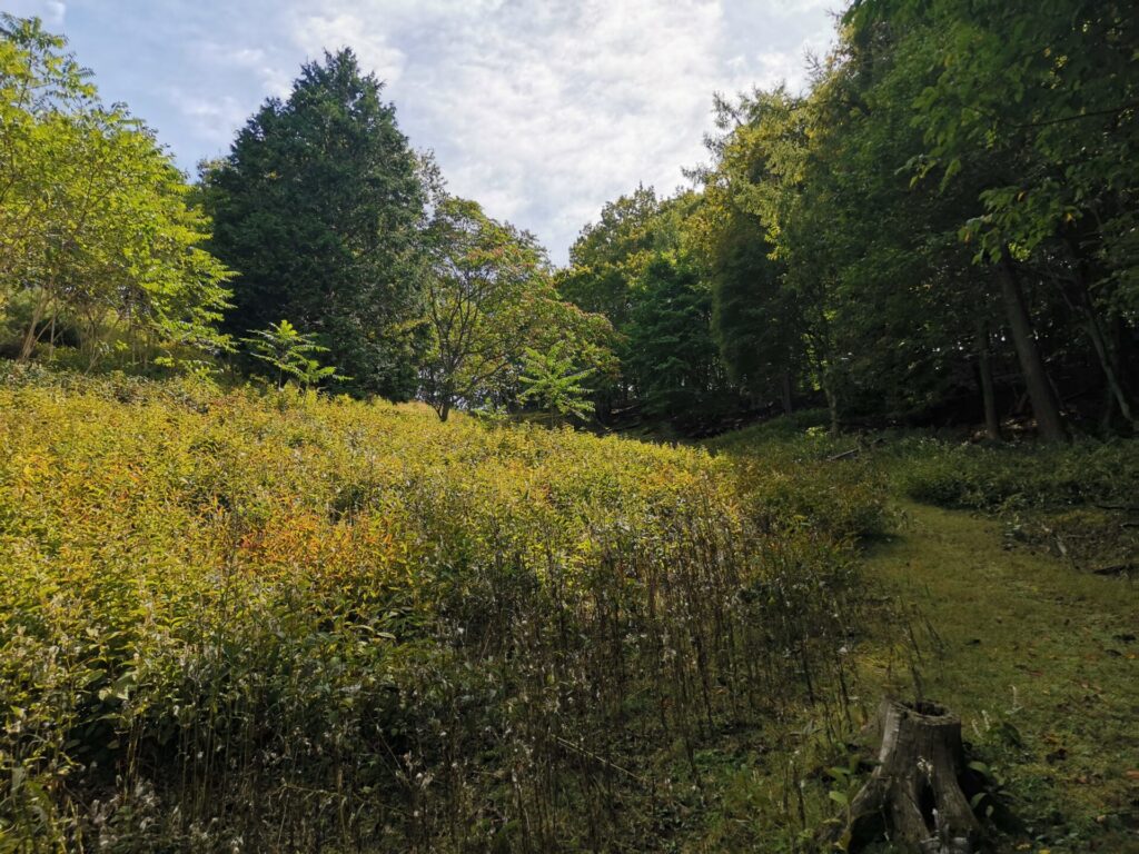 登山道