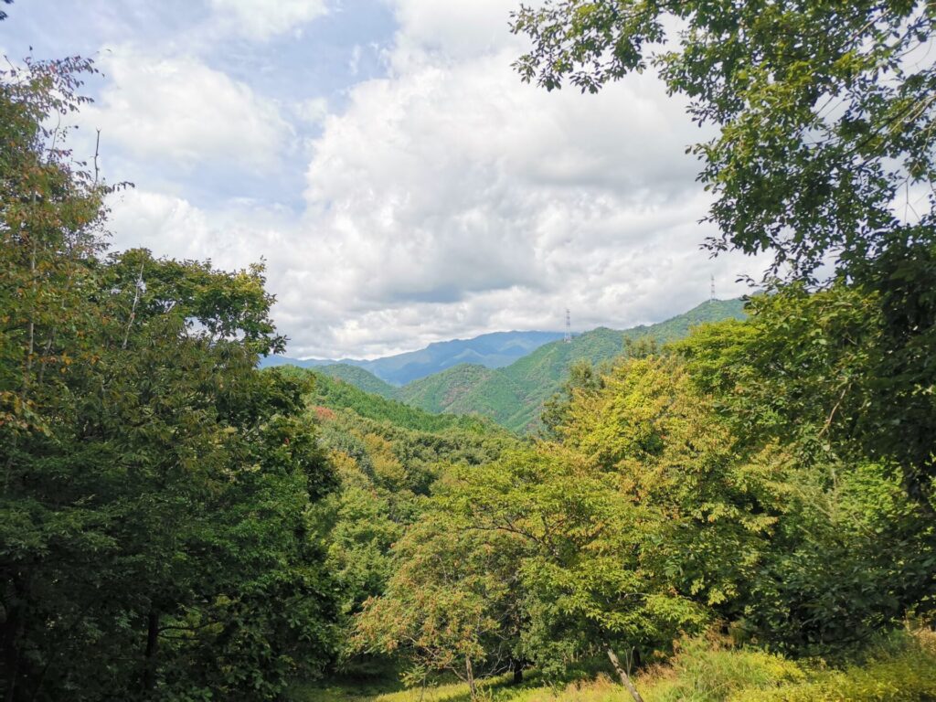 山 風景