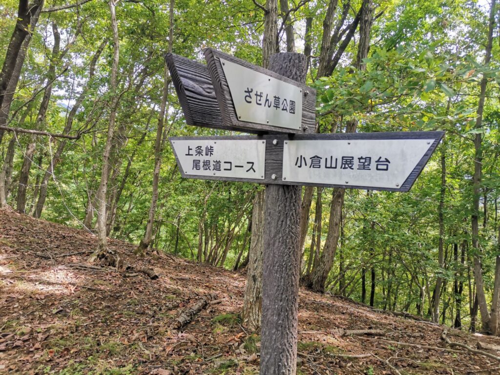 分岐 道標