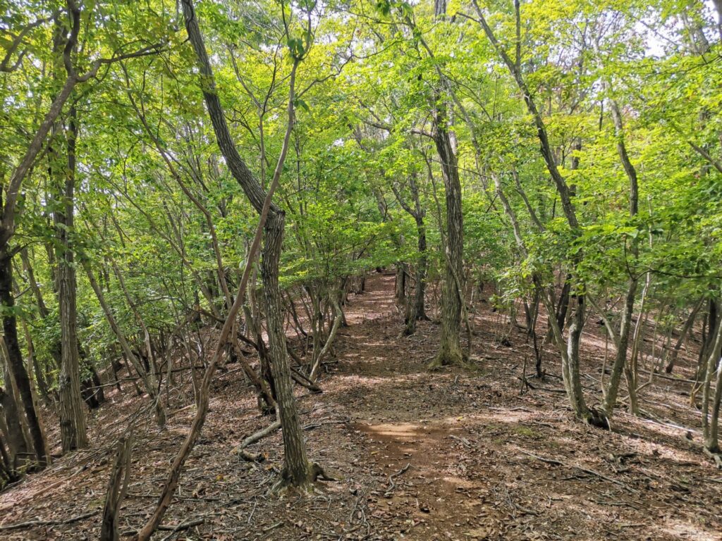 登山道