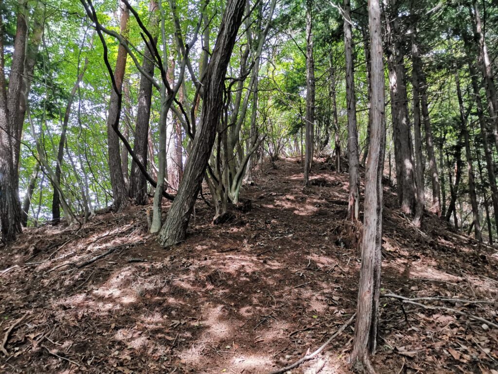 登山道