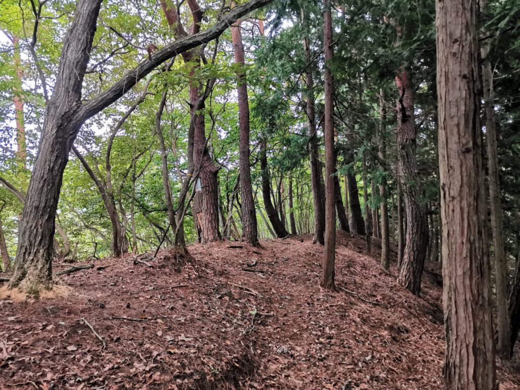 登山道