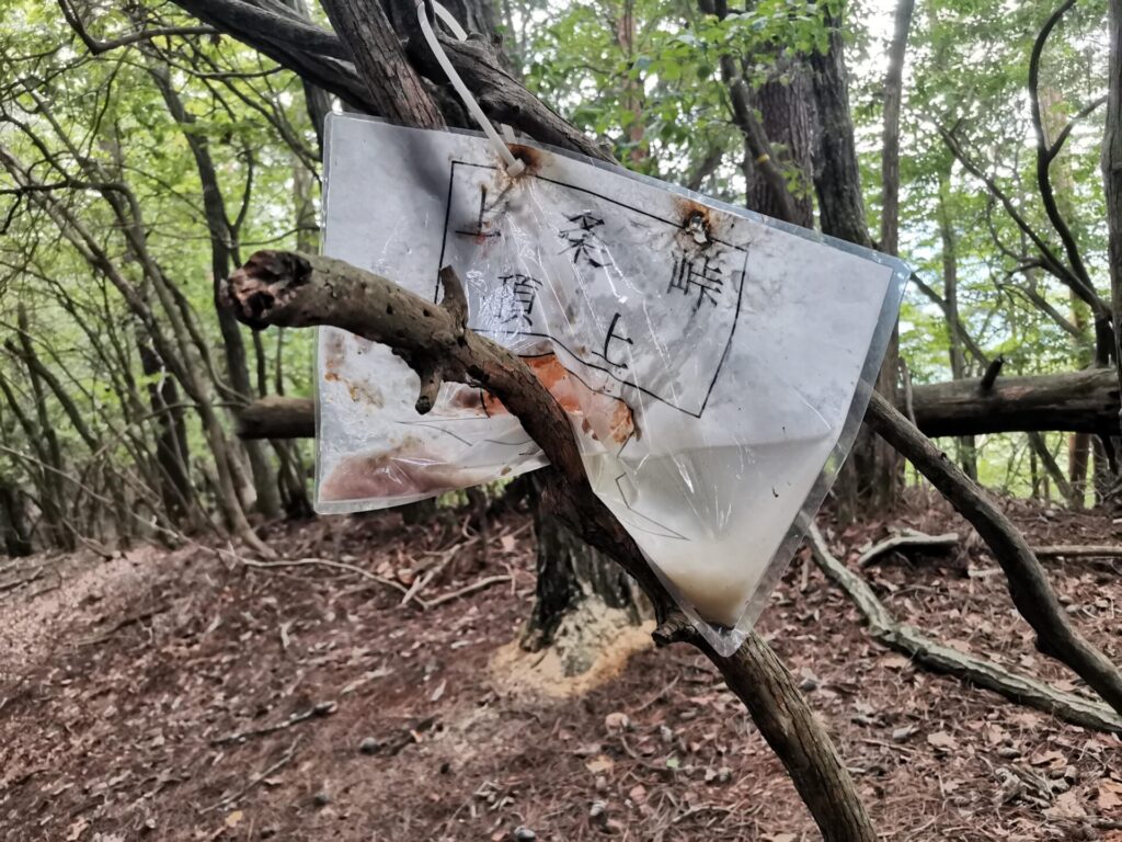 上条峠 頂上