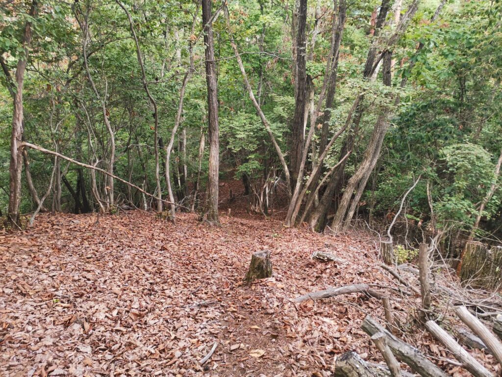 登山道 枯葉