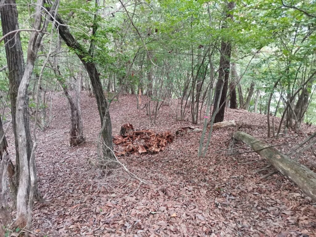 登山道 ピンクリボン