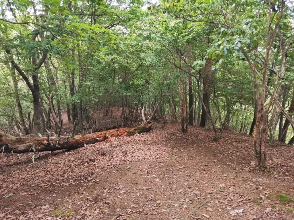 登山道