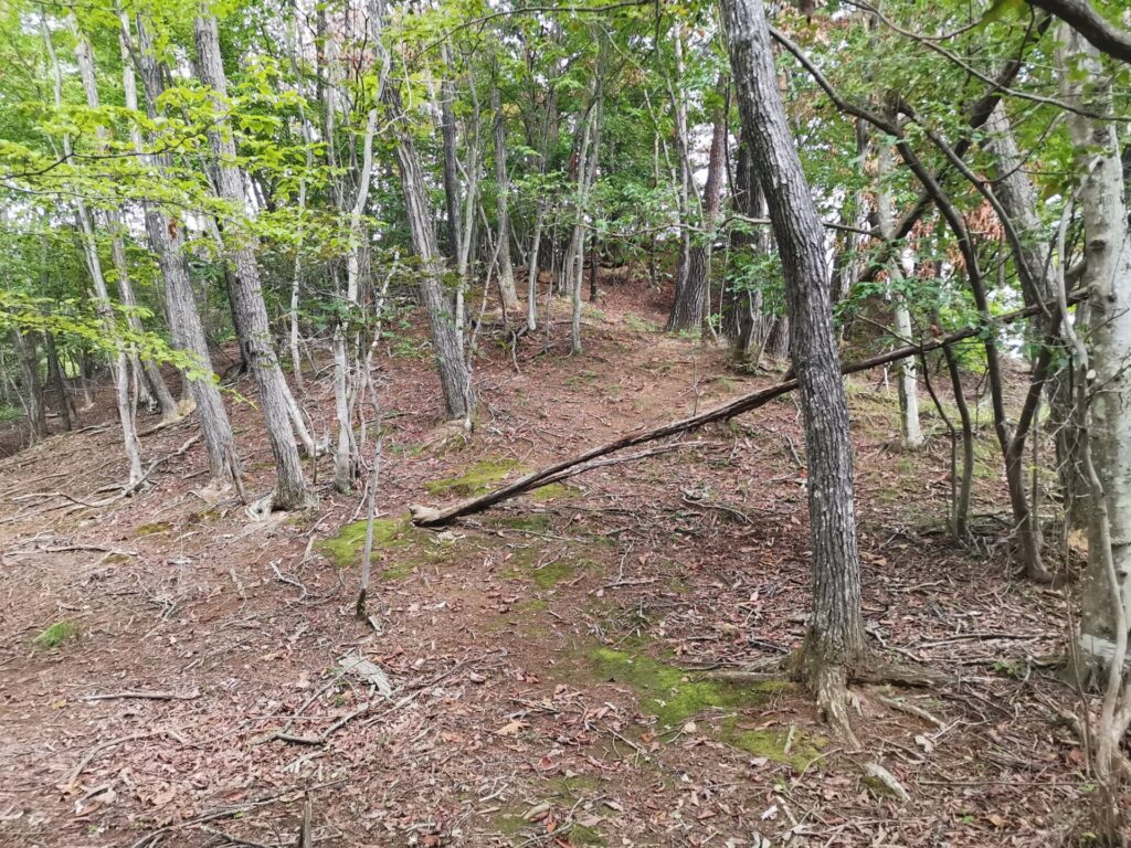登山道
