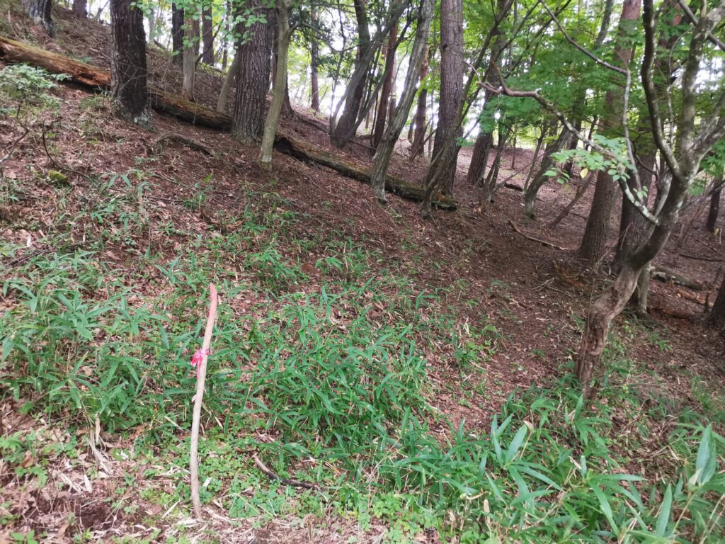 登山道