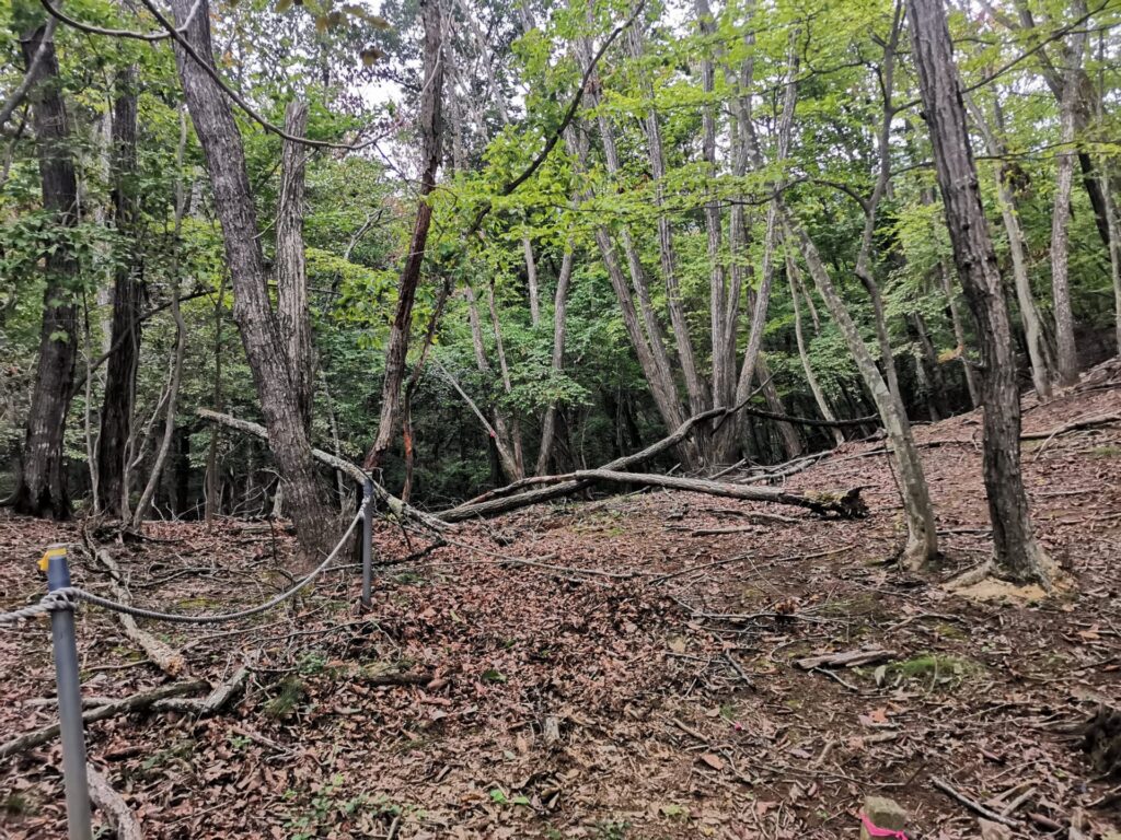 登山道