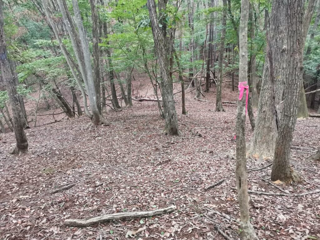 登山道