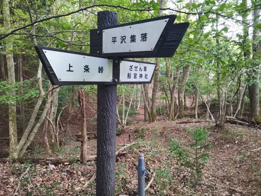 ざぜん草 船宮神社 道標