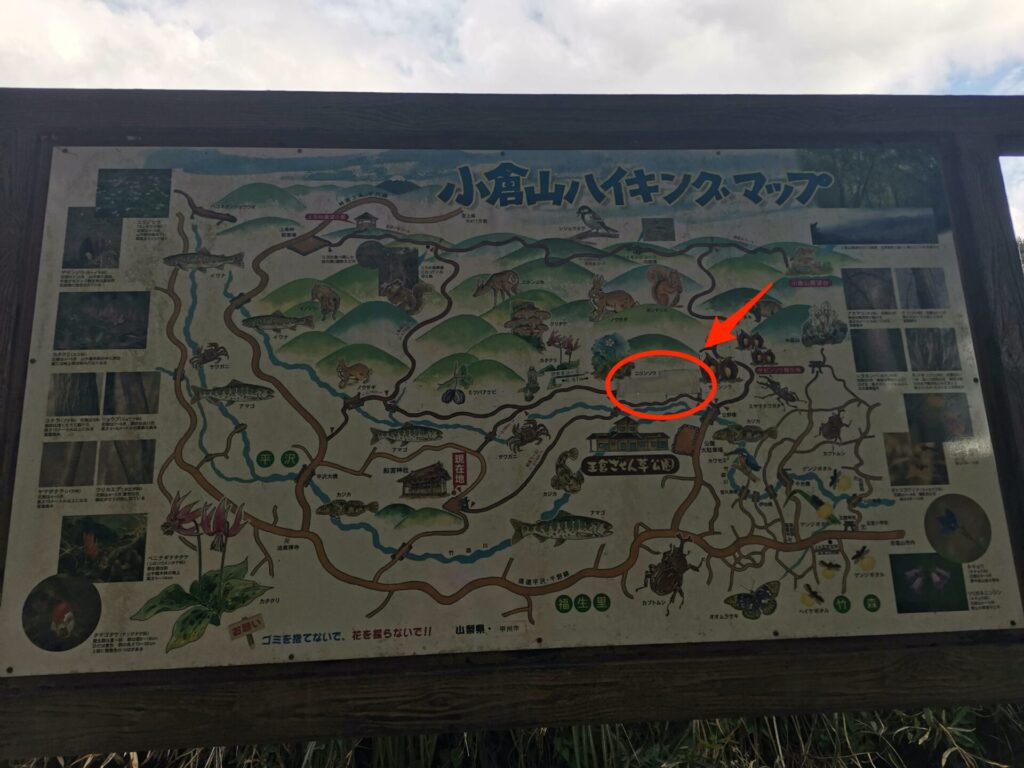 小倉山ハイキングマップ
