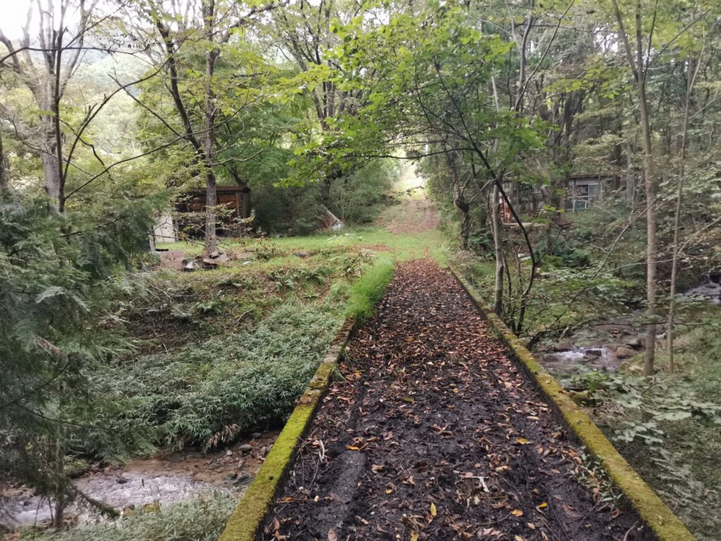 橋