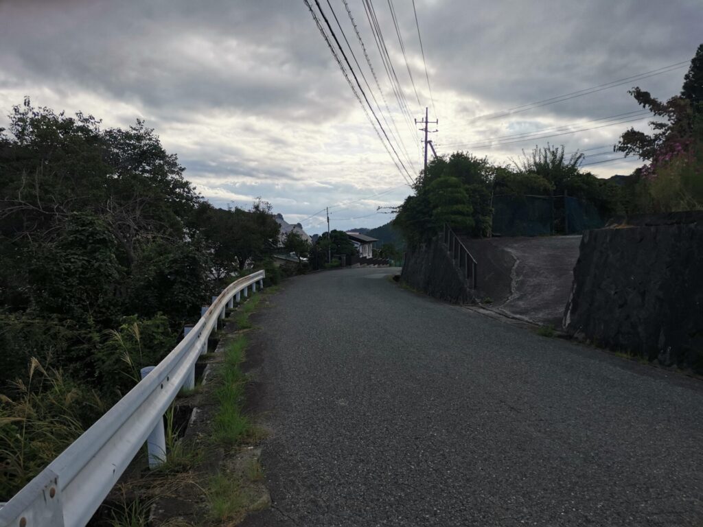 県道207号線 座禅草のみち