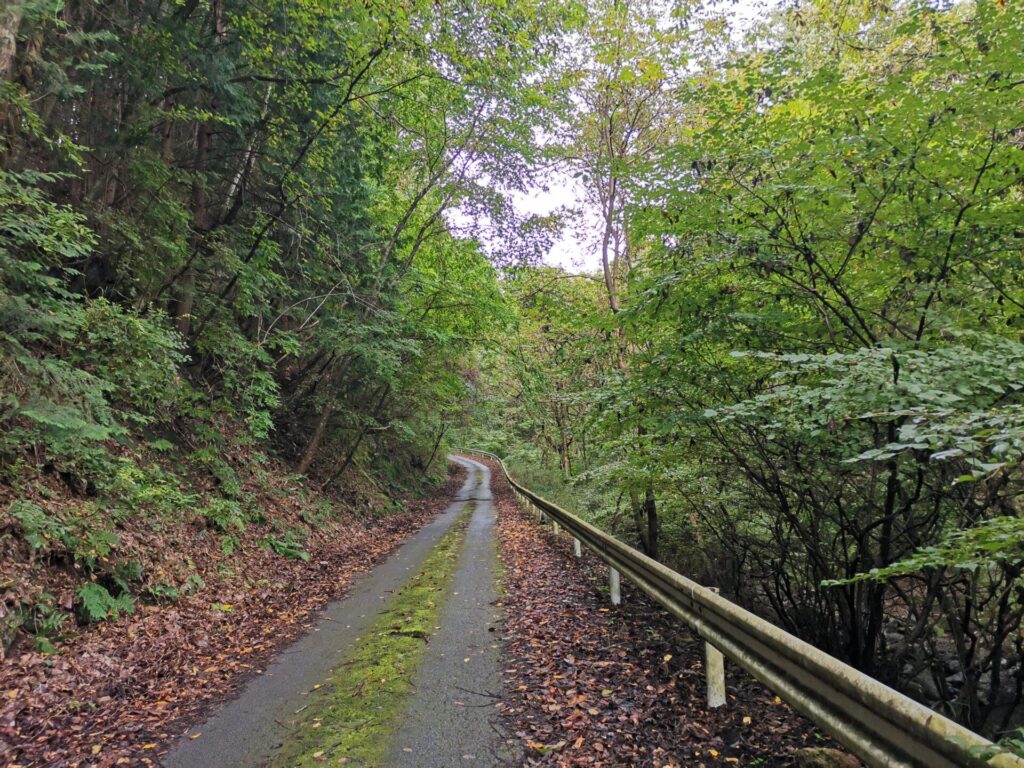 舗装道