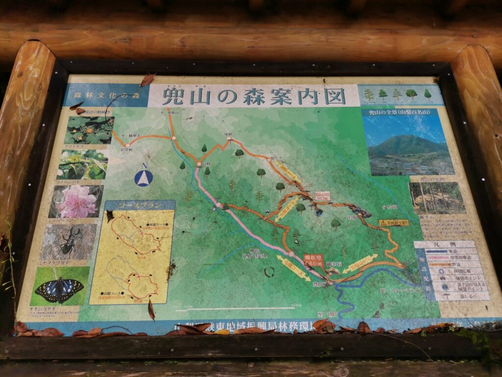 兜山 森 案内図