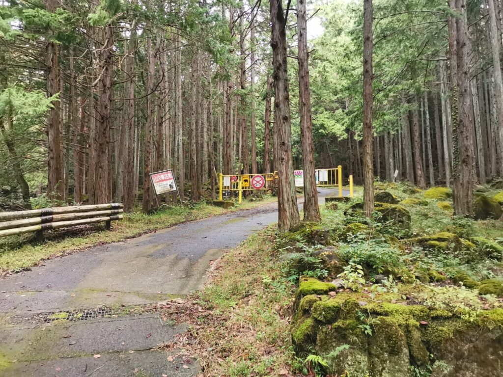 ゲート