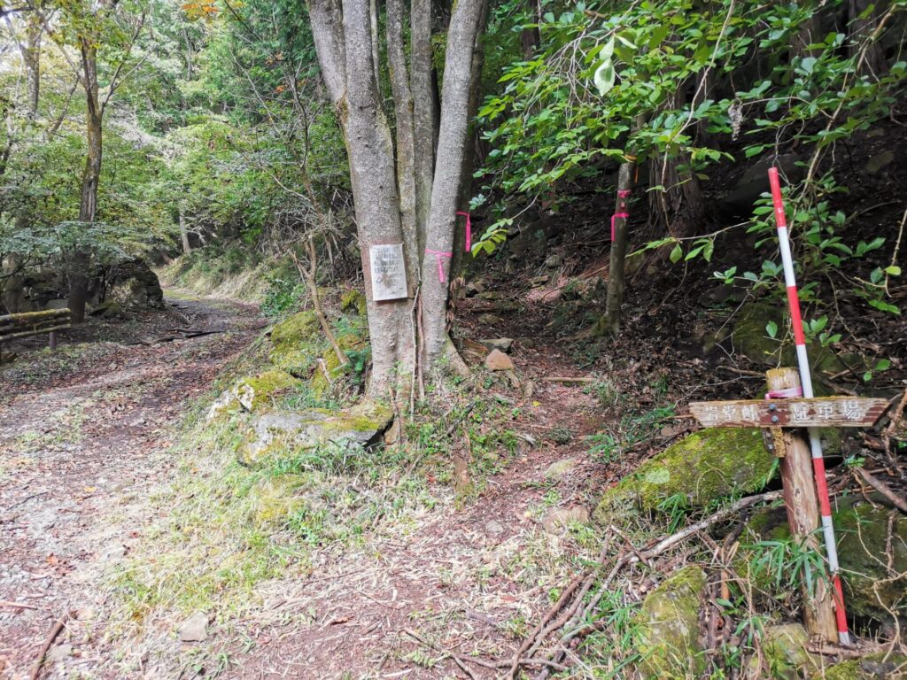 登山道