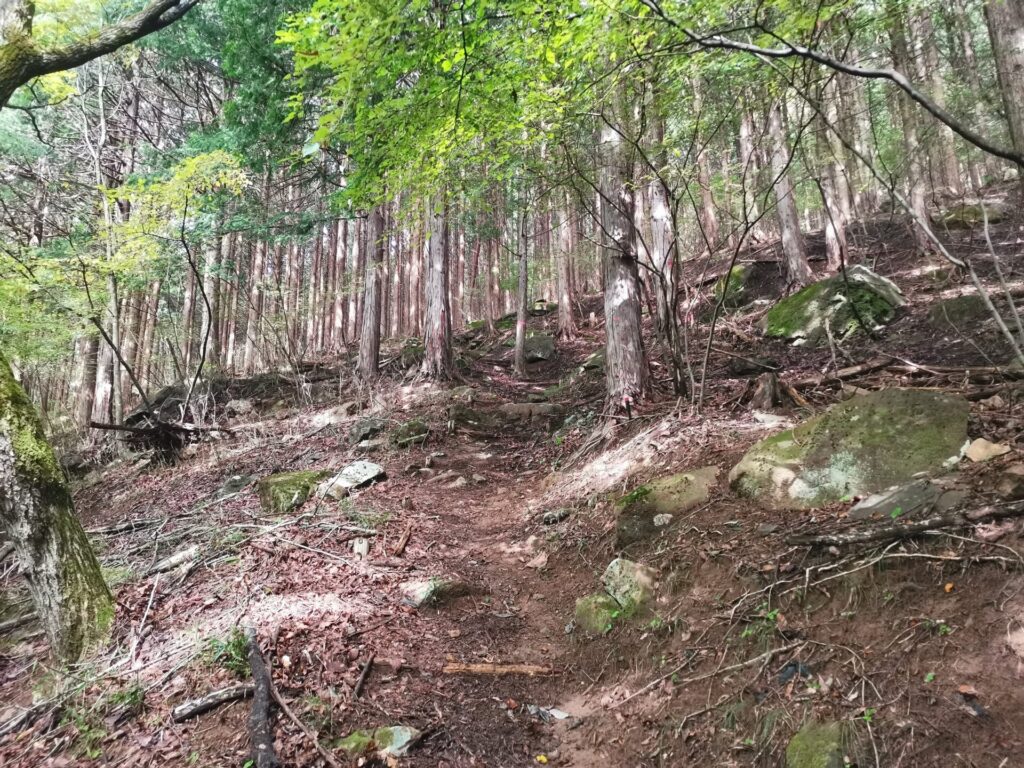 登山道