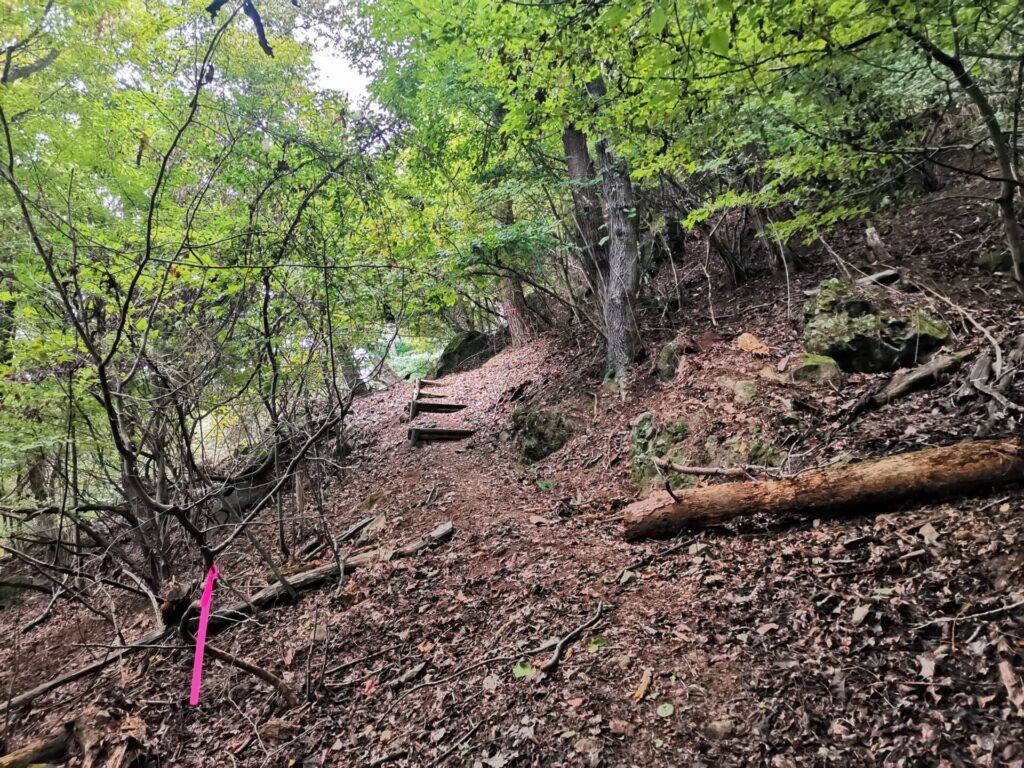 登山道