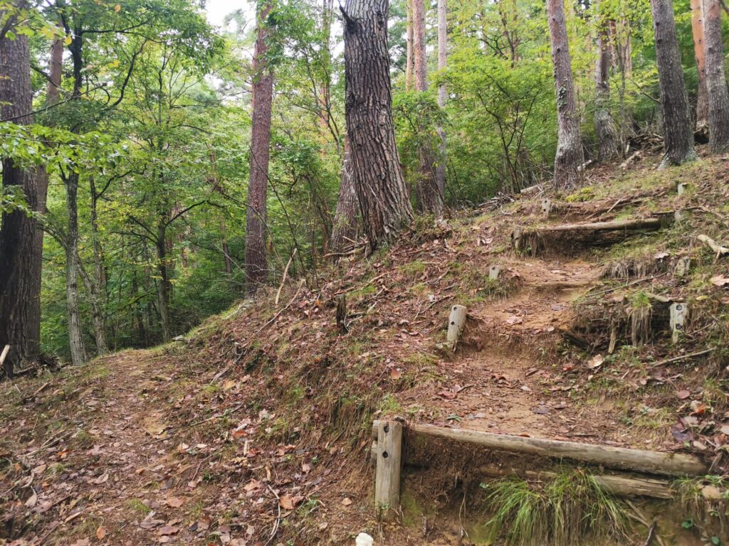 分岐