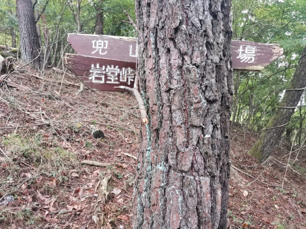 道標
