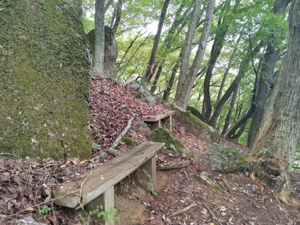 ベンチ