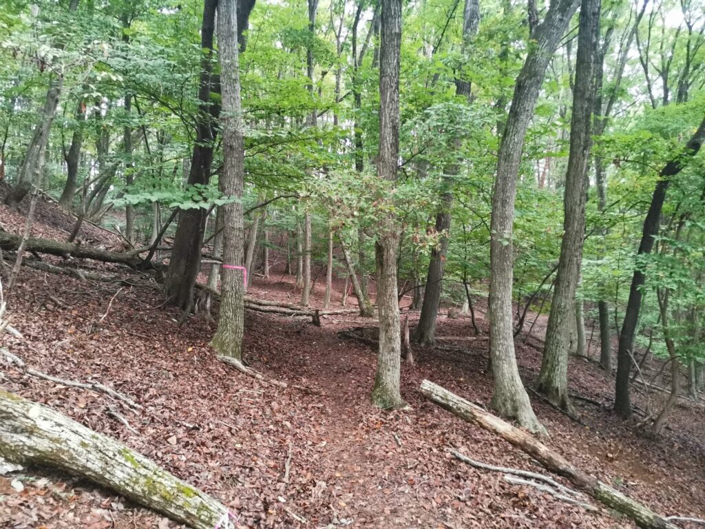 登山道