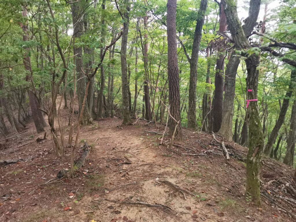 登山道
