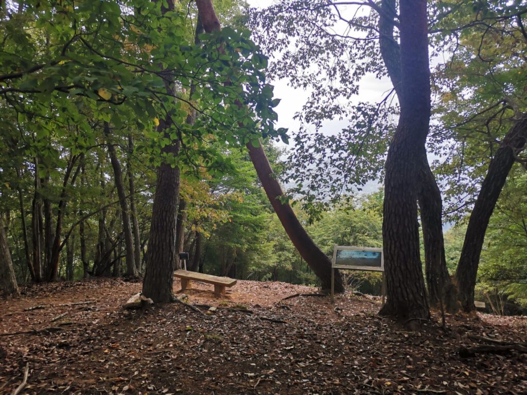 展望台