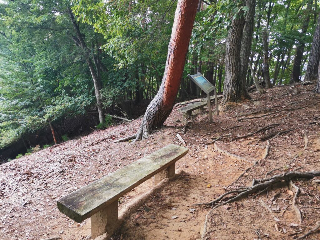 展望台 ベンチ