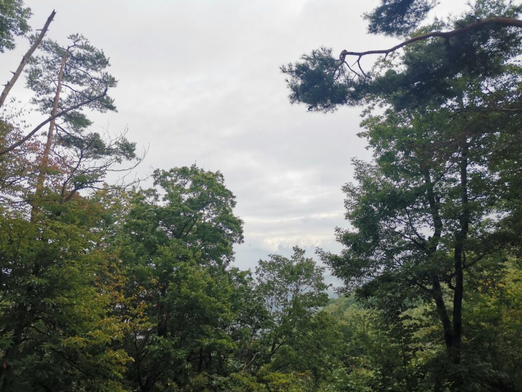 雲