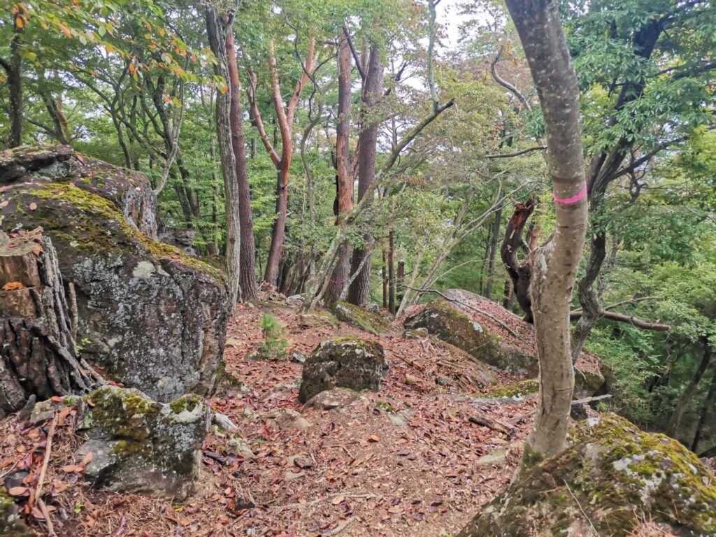 登山道 岩