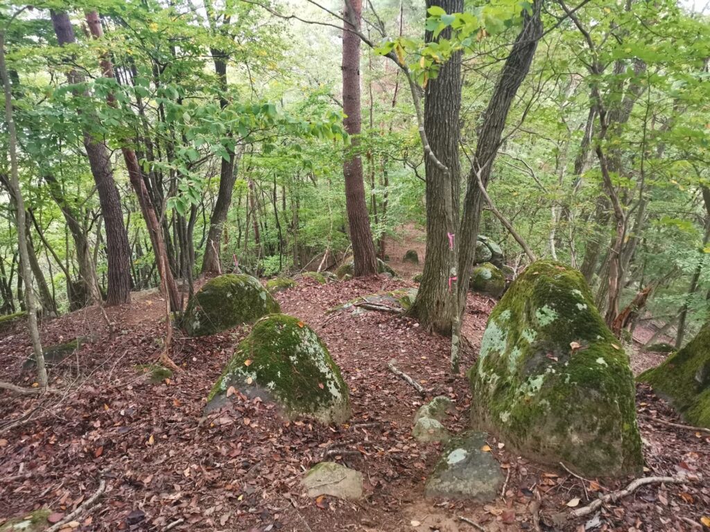 登山道 岩