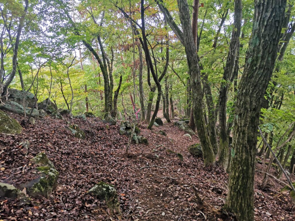 登山道