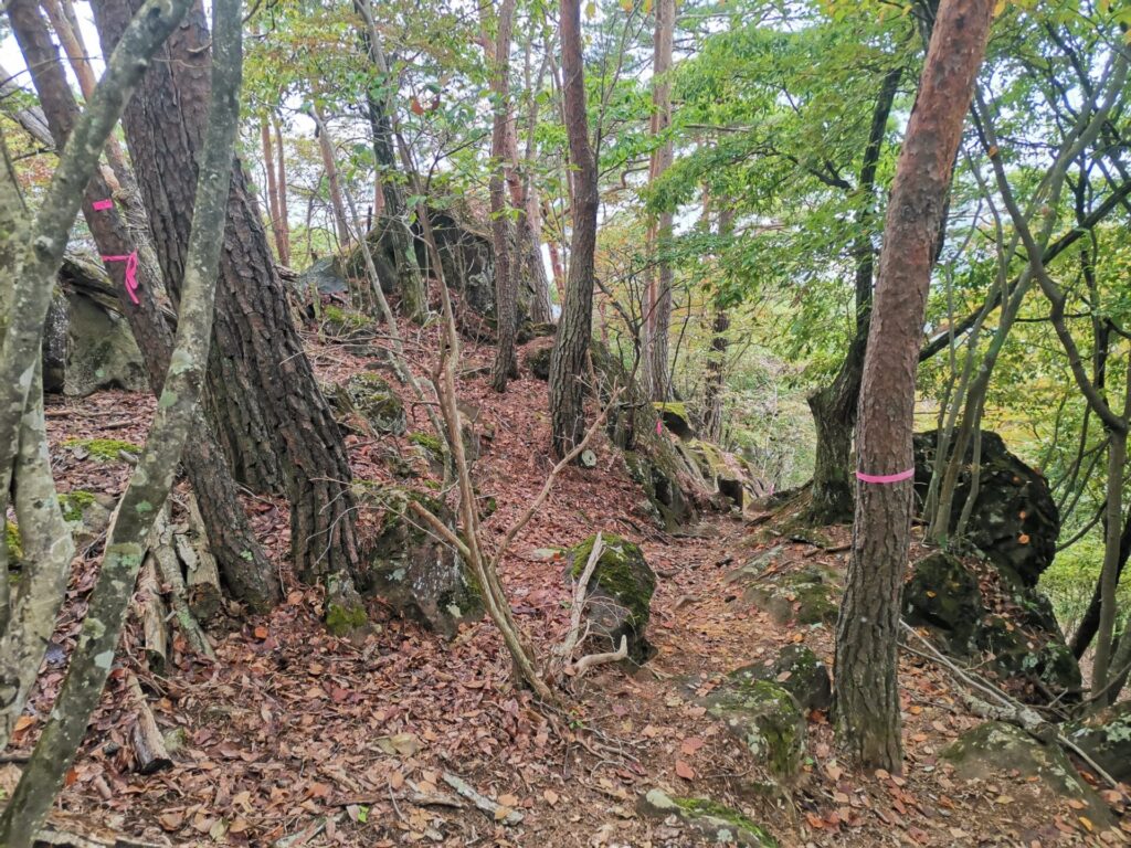登山道 岩
