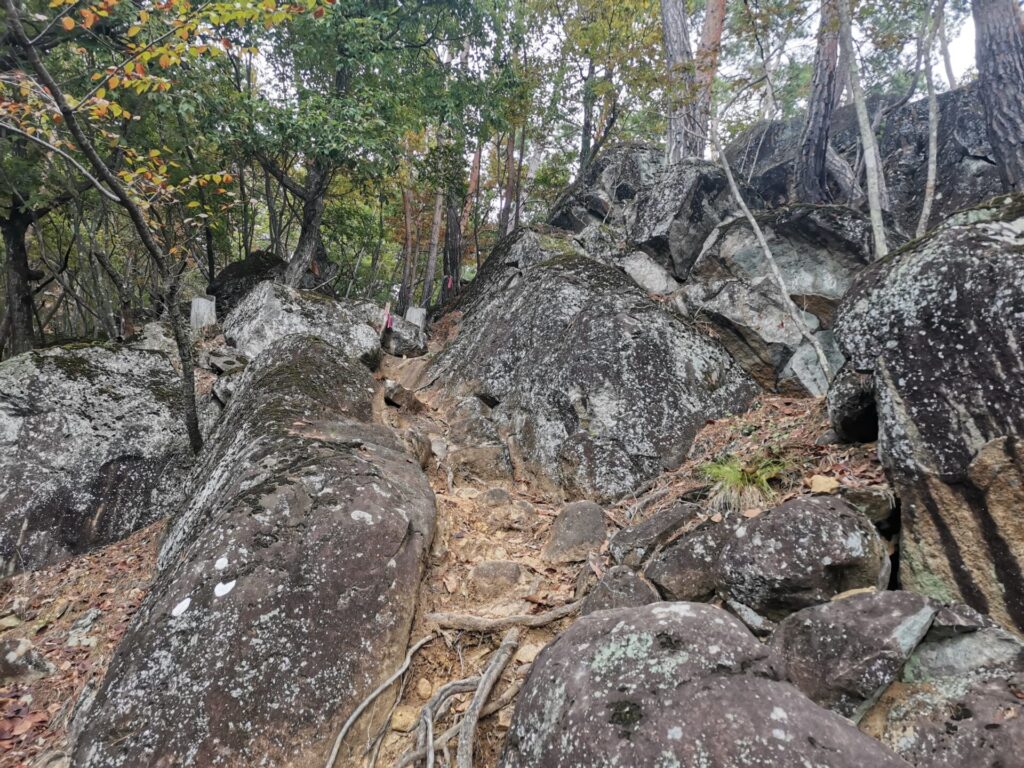 登山道 岩場