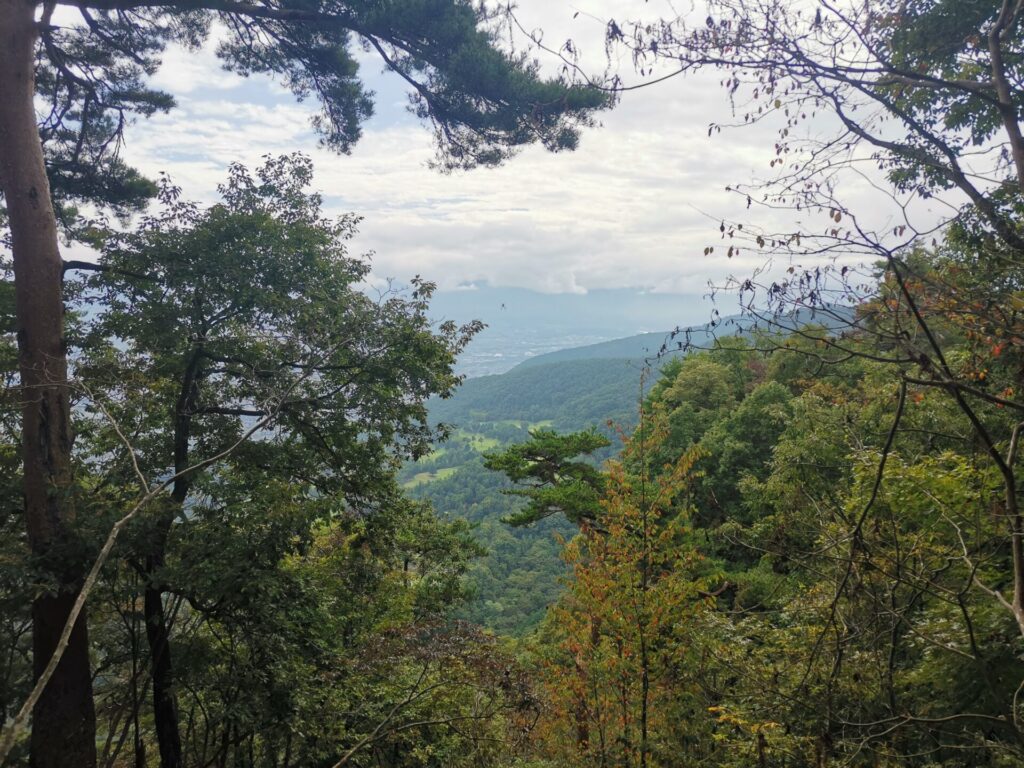 山