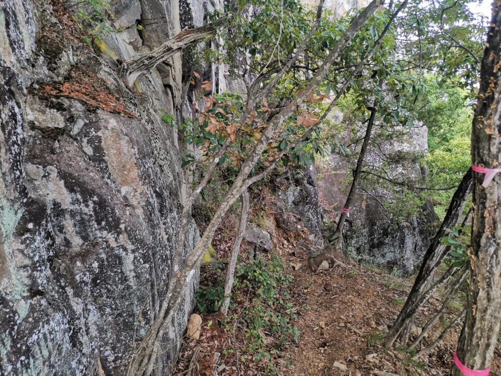 登山道 岩