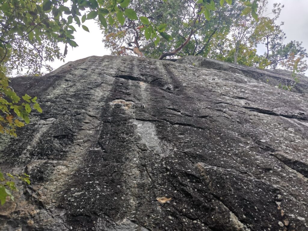 巨大 岩
