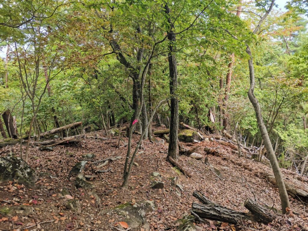 登山道
