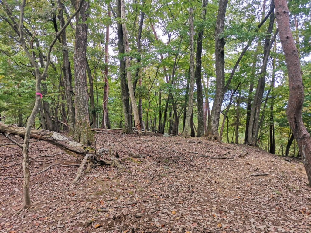 登山道 ピンクリボン