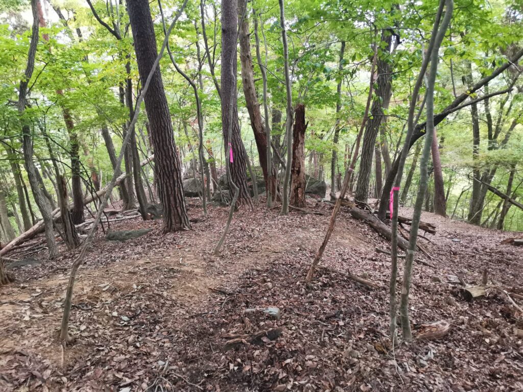 登山道