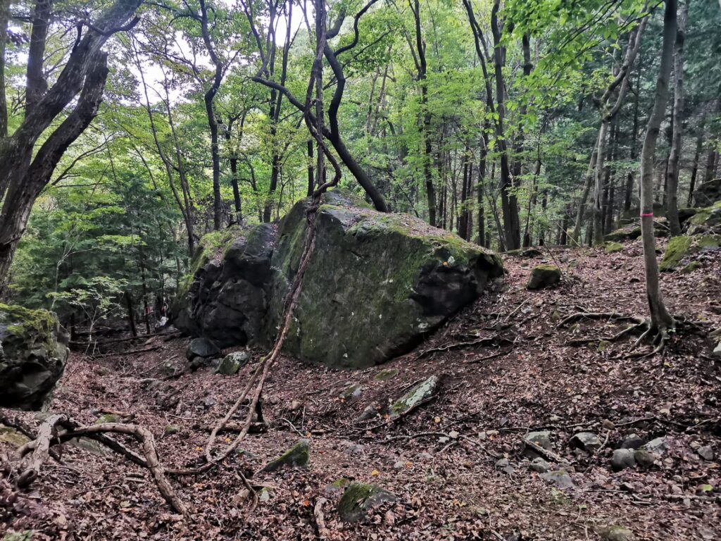 登山道 岩