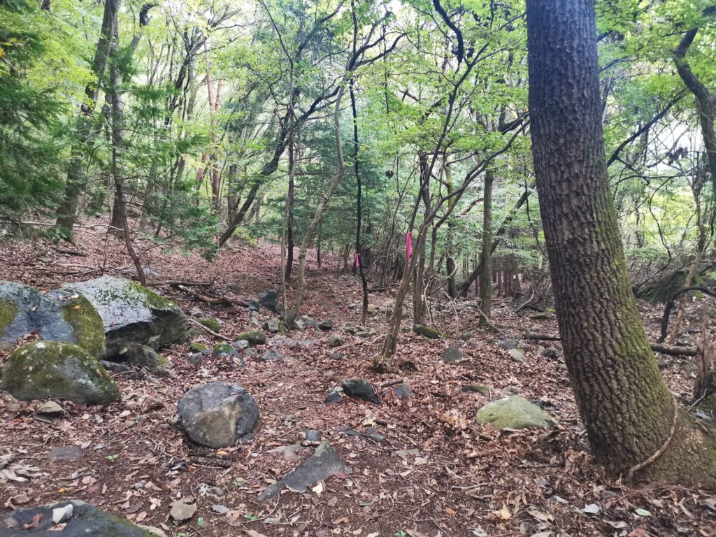 登山道