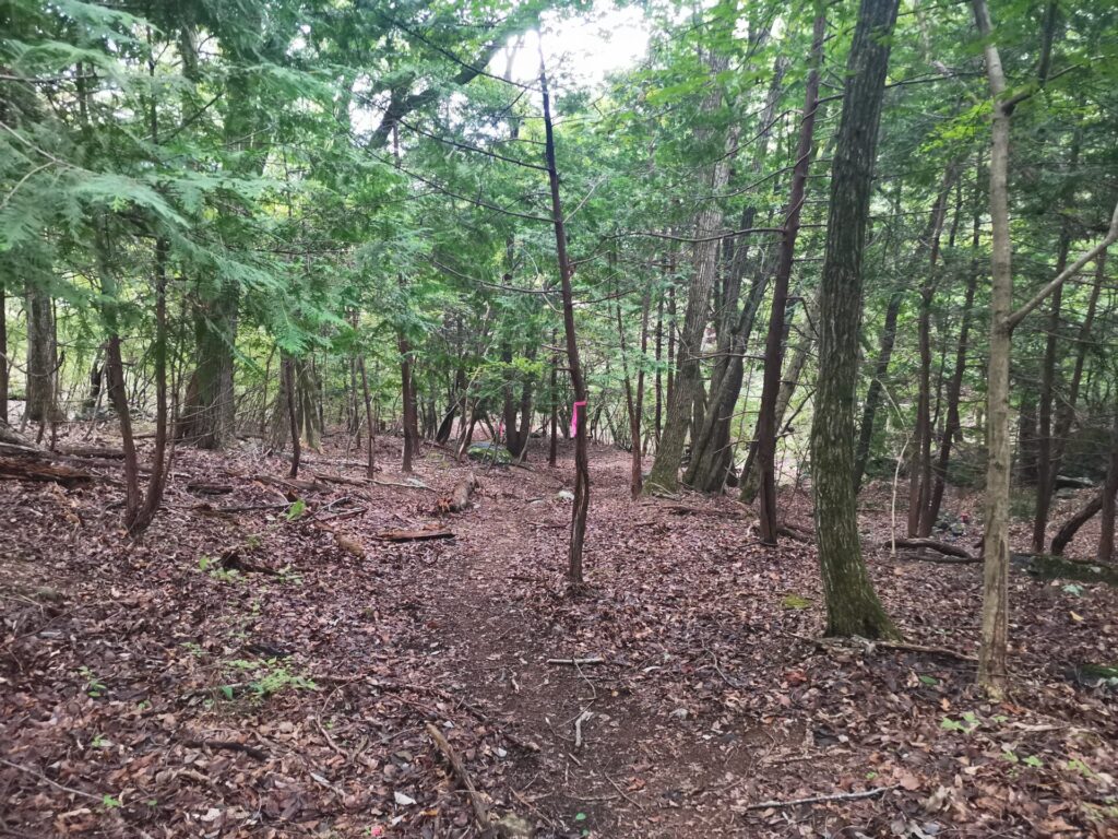登山道