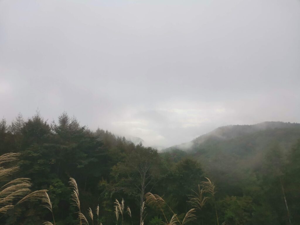 雲り