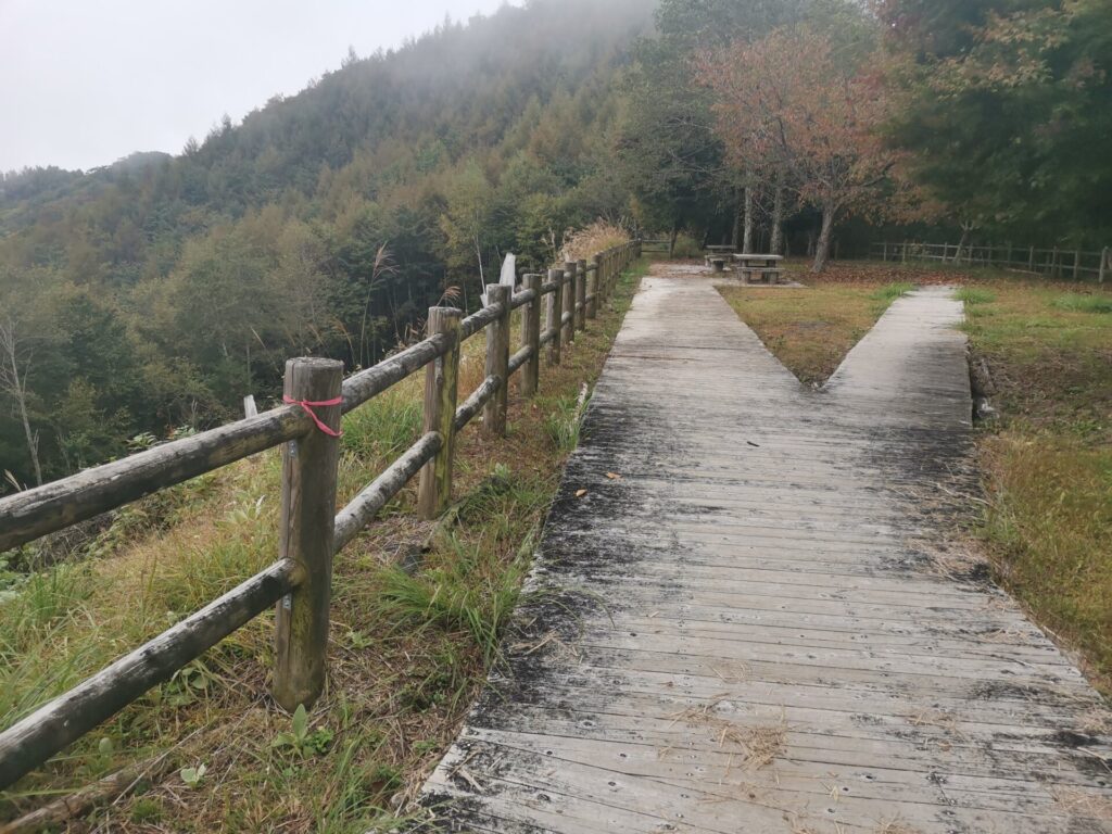 ベンチ